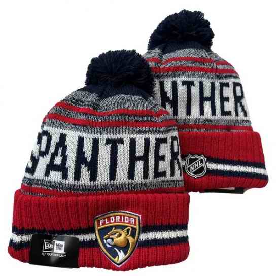 Florida Panthers Beanies Cap 25G002
