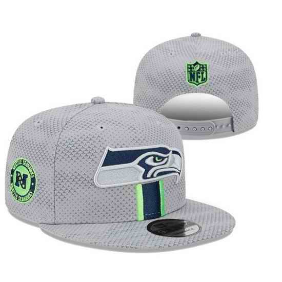 Seattle Seahawks Snapback Cap 25G025