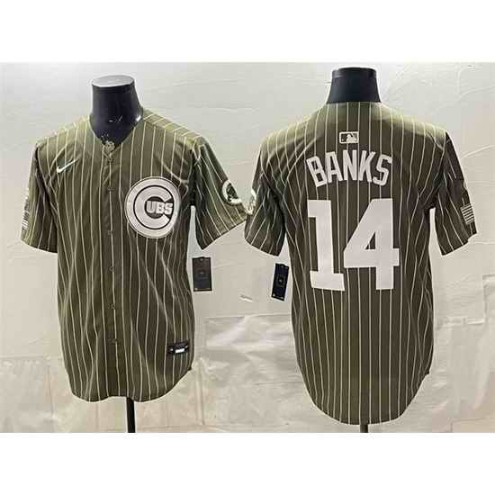 Men Chicago Cubs  14 Ernie Banks Pinstripe Olive 2026 Armed Forces Day Salute To Service Stitched Baseball Jersey