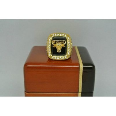 1991 NBA Championship Rings Chicago Bulls Basketball World Championship Ring