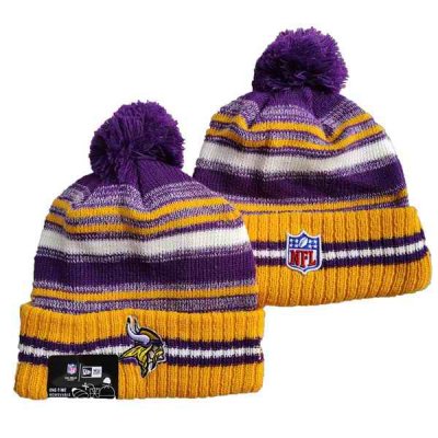 Minnesota Vikings Knit Hats 052