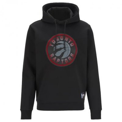 Toronto Raptors Men Hoody 009