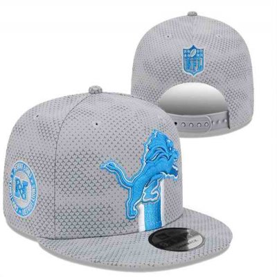 Detroit Lions 2024 Stitched Snapback Hats 008