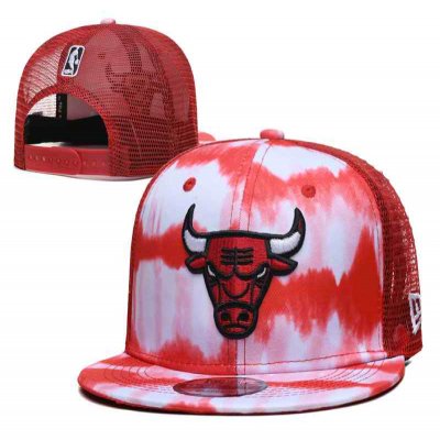 Chicago Bulls Stitched Snapback Hats 087