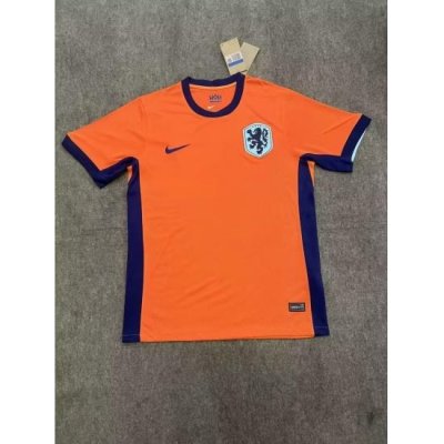 Nethland Uruguay 2024 Soccer Jersey Orange Home