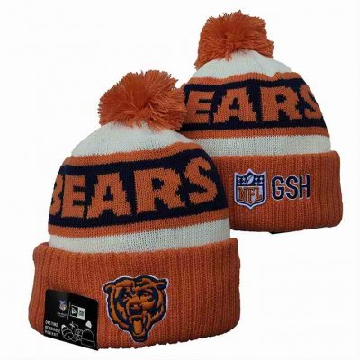 Chicago Bears Knit Hats 0143