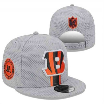 Cincinnati Bengals 2024 Stitched Snapback Hats 006