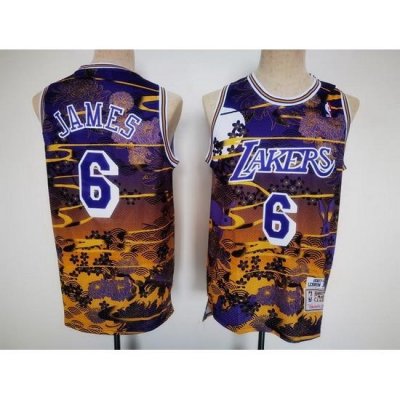 Men Los Angeles Lakers 6 LeBron James Purple Throwback Basketball Jersey