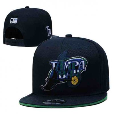 Tampa Bay Rays Stitched Snapback Hats 001