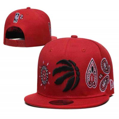 Toronto Raptors Stitched Snapback Hats 0023