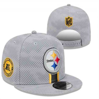 Pittsburgh Steelers 2024 Stitched Hats 012