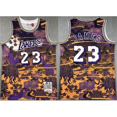 Men Los Angeles Lakers 23 LeBron James Purple Yellow Throwback Basketball Jersey