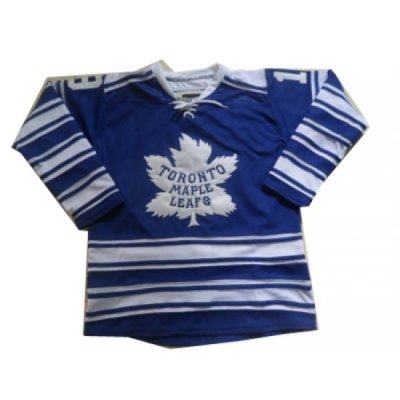 NHL Jerseys Toronto Maple Leafs #19 Lupul blue[2014 winter classic]